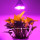 Indoor plant 100W E27 led grow light bulb